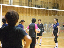 ��֥����