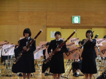 �б顧­Ω��Ω�载����ع������ճ����ʣ����б��